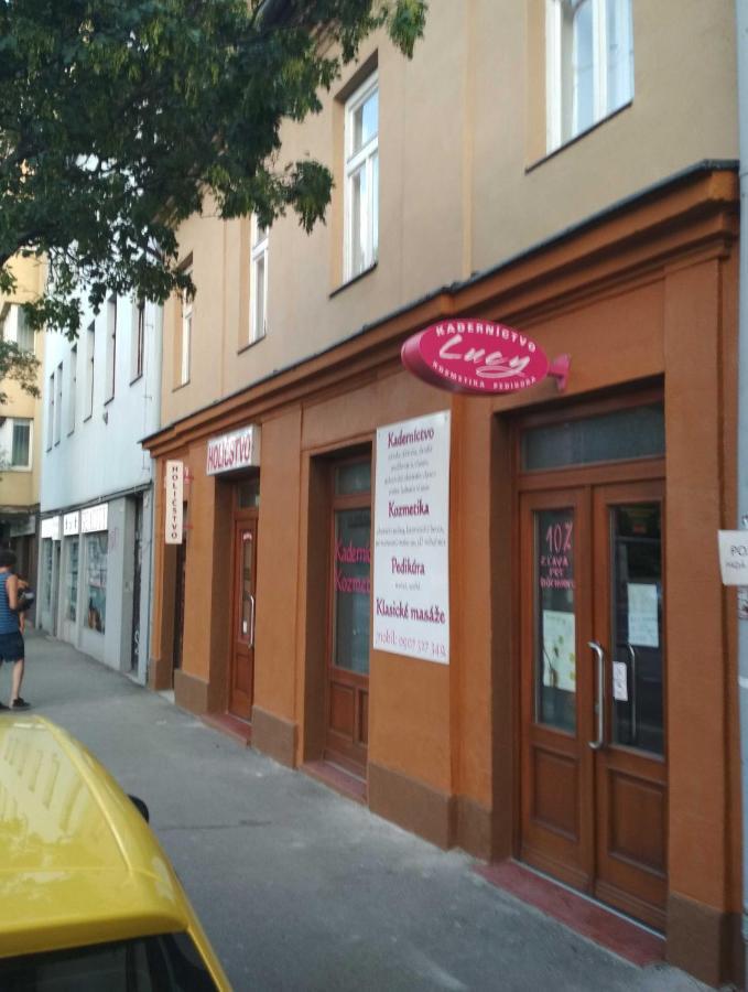 Jonas Apartments - Great Location Near Bratislava City Center エクステリア 写真